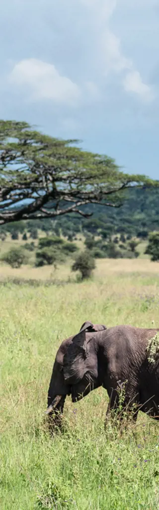 Erlebnisreisen Tansania